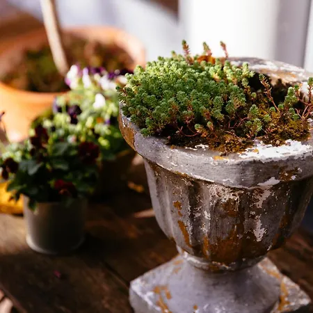 Kovirag Panzio Pensjonat