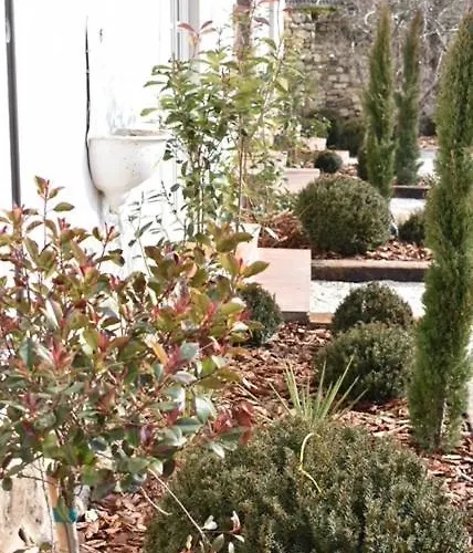 Kovirag Panzio Pensjonat